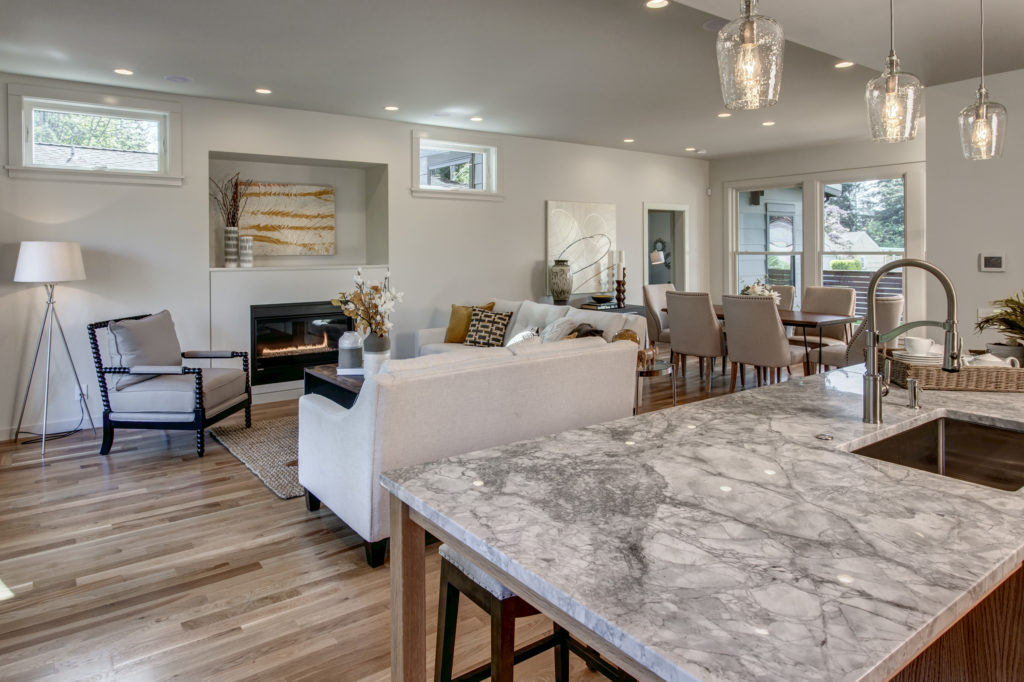 Modern New Construction living room